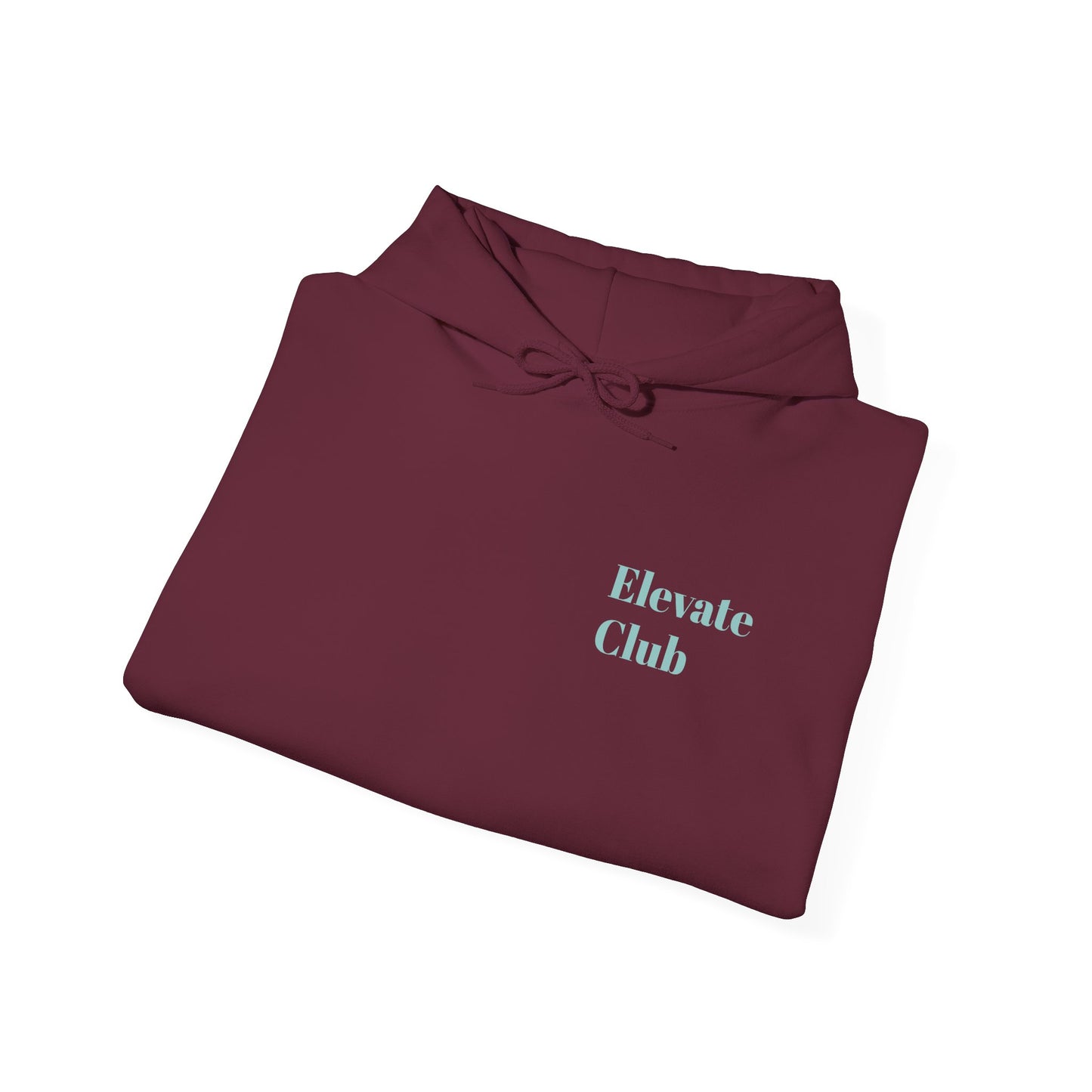 ELEVATE CLUB hoodie